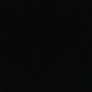 Meet your Posher, Korey